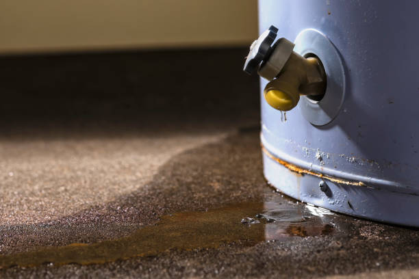 Best Flood damage cleanup  in Lake Holiday, VA