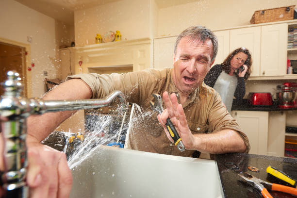 Best Professional water damage repair  in Lake Holiday, VA